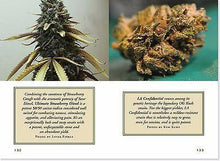 Load image into Gallery viewer, Peter Pauper Press - The Little Black Book of Marijuana - Petals and Postings