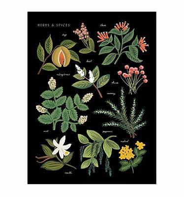 Herbs & Spices Art Print - Petals and Postings