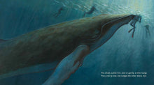 Load image into Gallery viewer, The eye of the whale by jennifer O'Connell
