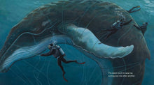 Load image into Gallery viewer, The eye of the whale by jennifer O'Connell