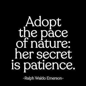 "Adopt the Pace of Nature..." Magnet