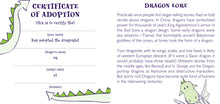 Load image into Gallery viewer, Dragon Rescue Kit