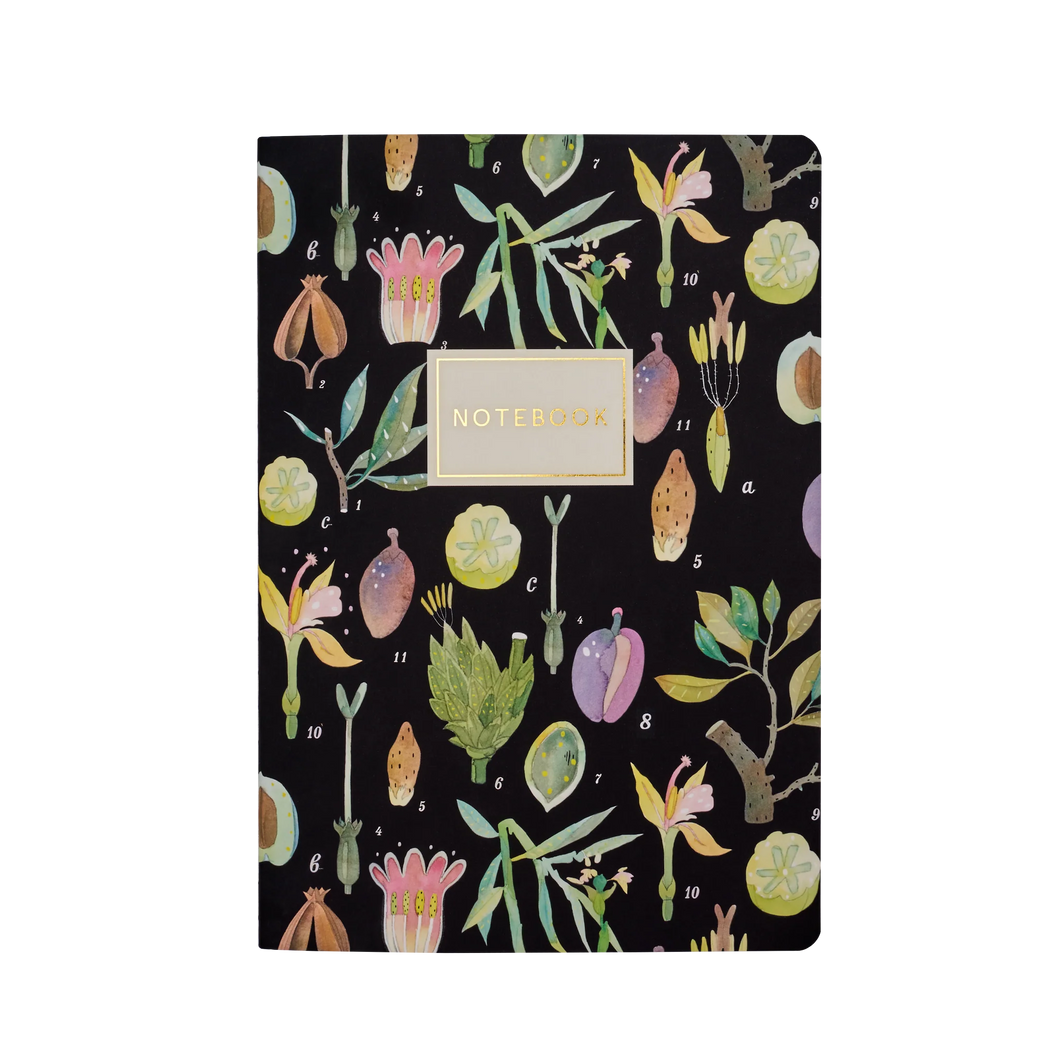 Bruno Visconti Notebook- Vegetables