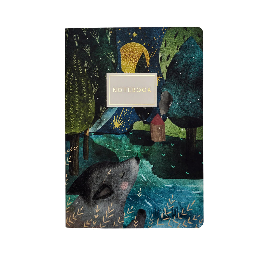 Bruno Visconti Notebook- Night on the Stream