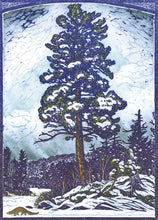 Load image into Gallery viewer, Artists To Watch Trees/Cabin Assorted Greeting Cards