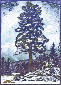 Artists To Watch Trees/Cabin Assorted Greeting Cards