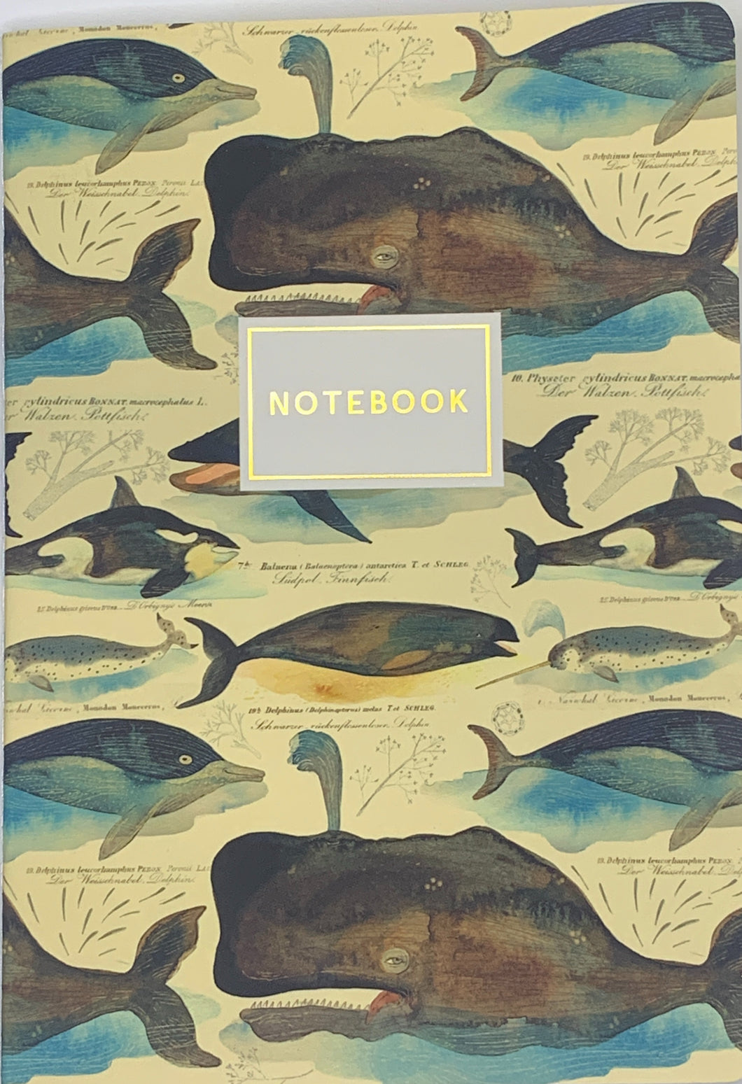 Bruno Visconti Notebook-Whales