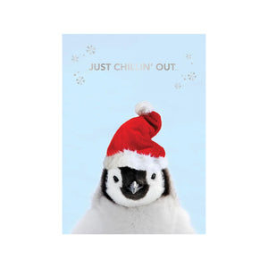 SET OF 3 "Just Chillin' Out" Christmas Cards & Envelopes
