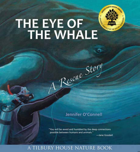 The eye of the whale by jennifer O'Connell