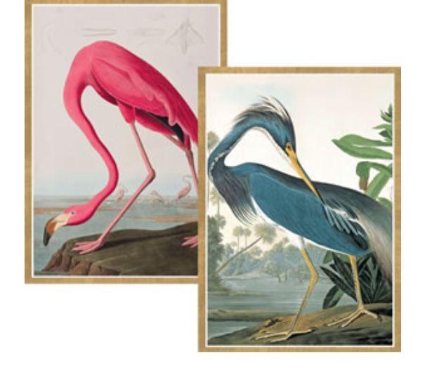 Stationery-Casperi - Blank Note Cards - Set of 8 - Audubon Birds - Petals and Postings