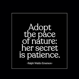 Quotable Adopt the pace of Nature Magnet