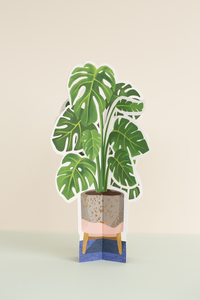 paper monstera plant Monstera Paper Plant – Sassy Extras