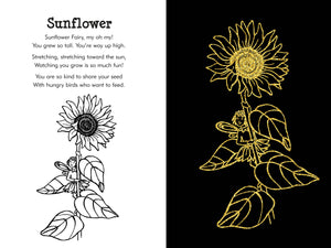 Peter Pauper Press Trace - Along Scratch and Sketch Garden Fairies