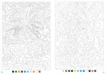 Load image into Gallery viewer, Peter Pauper Press Mystery Illustrations to Unveil Color-by-Number and Dot-to-Dot Book