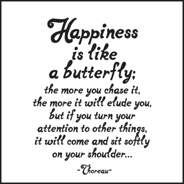 Quotable Happiness Is Like A Butterfly Magnet